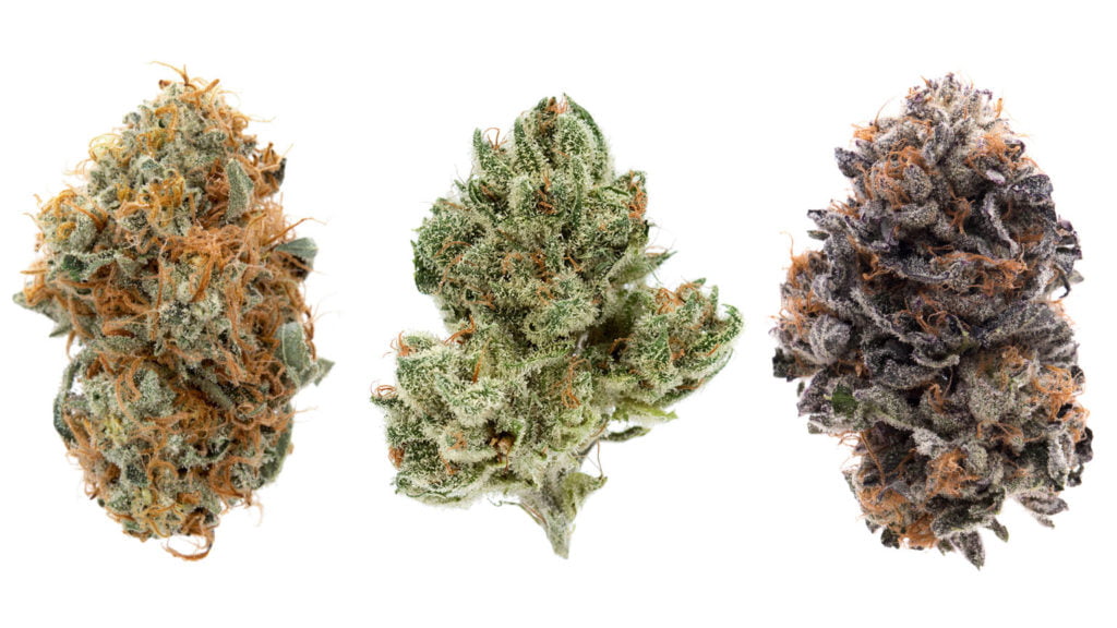 Varieties of Cannabis